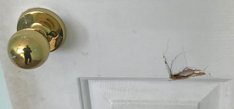 interior door hole repair Hayward
